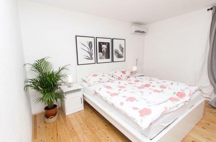 Apartments And Rooms Ille Σίμπενικ Εξωτερικό φωτογραφία